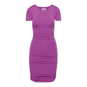 Aritzia Babaton Ruched Mini Dress